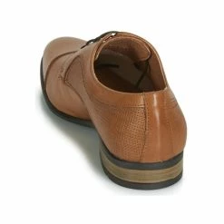 André - CITHARE Marron -DC shoes shop 13478011 500 E