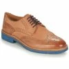 André - FLOWER Marron / Bleu -DC shoes shop 13478033 500 A