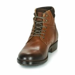 Casual Attitude - LULLY Cognac 10 Casual Attitude - LULLY Cognac -DC shoes shop 15698331 500 C