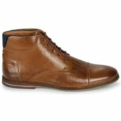 DC shoes shop -DC shoes shop 15849137 500 B