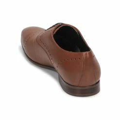 André - CURTIS Cognac -DC shoes shop 16081930 500 E