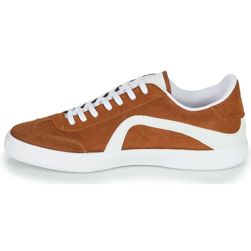 André - POLO Marron 6 André - POLO Marron – Image 4