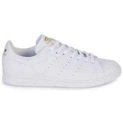 DC shoes shop -DC shoes shop 21515955 500 B