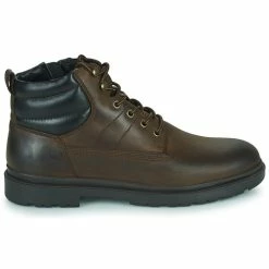 Geox - U ANDALO C Marron -DC shoes shop 22643087 500 B