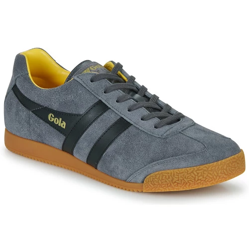 Gola - HARRIER Gris / Noir / Jaune 3 Gola - HARRIER Gris / Noir / Jaune