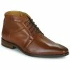 Carlington - JESSY Cognac -DC shoes shop 8265172 500 A
